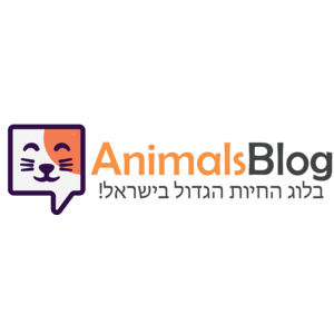 רכשית קישורים מאתר animals blog